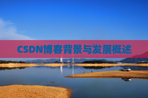 CSDN博客背景与发展概述